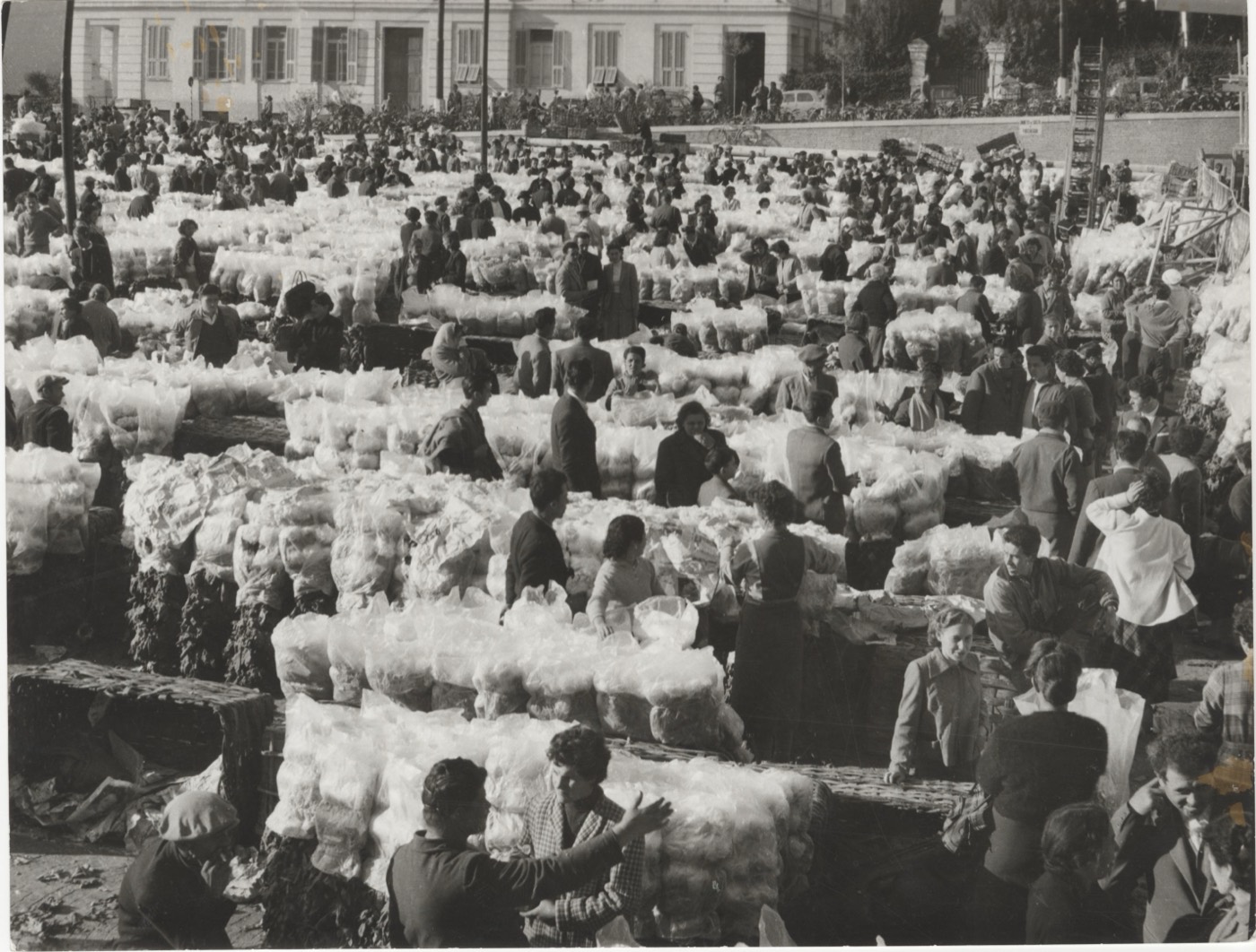 Il mercato dei fiori di Sanremo nel 1962
